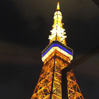 ワカヌイ グリル ダイニング バー 東京 - 