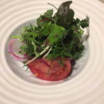 SUGALABO - サラダ