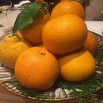 SUGALABO - 和歌山 善兵衛農園の柑橘