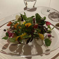 レフェルヴェソンス - 