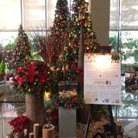 フィオレンティーナ - ホテル内ディスプレイ フィオレンティーナ - ホテル内ディスプレイ