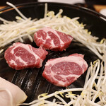 なまらむーちょ - ジン、ジン、ジンギスカーン♬