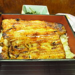 川蝉 - ふんわり焼き上がって香ばしいうなぎ