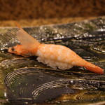 にぎり鮨 一五〇 - 葦海老