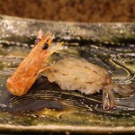 にぎり鮨 一五〇 - 車海老