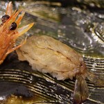 にぎり鮨 一五〇 - 車海老