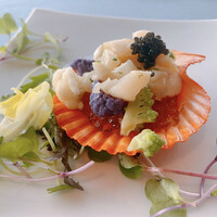 International cuisine subzero - 