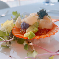 International cuisine subzero - 