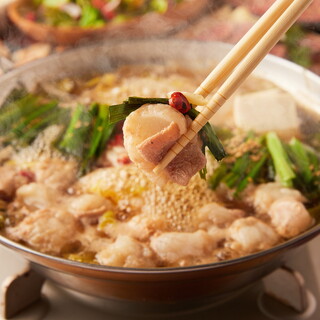 Excellent! Authentic Motsu-nabe (Offal hotpot) with a focus on freshness and affordability