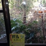 おきらく亭 - 窓から野鳥観察できるようにミカンで餌付けしています。