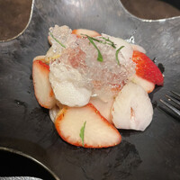 オッジ ダルマット 西麻布店 - 