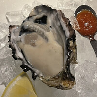 KAZAN - キャッツアイオイスター（生牡蠣）