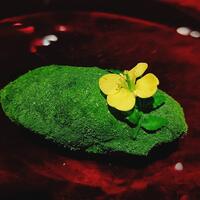 中土 - 鯖のマリネを広島菜で包んでお寿司風に