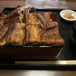 Unagi Satsuma - 