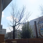 ラーメン二郎 - 今年は東京が一番早いらしい⁉