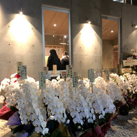 鮨 ます田 - 