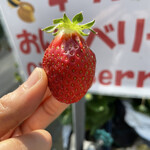 姫路ハートフル観光農園 - 