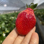 姫路ハートフル観光農園 - 