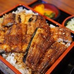 Unagi No Nishiyama - 