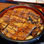 Unagi No Nishiyama - 