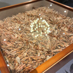 プレゼンテ スギ - 