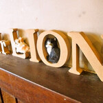 みすたーらいおん - 