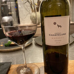 イル アオヤマ - 