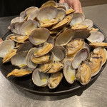 イル アオヤマ - 