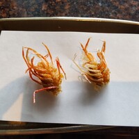 熊魚菴 たん熊北店 東京ドームホテル店 - 