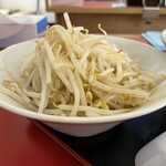 ラーメン もっけだの - ヤサイマシマシの追加ヤサイ（別皿）