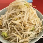 ラーメン もっけだの - 『ラーメン普通ニンニクマシマシヤサイマシマシ+味玉』のマシマシヤサイ