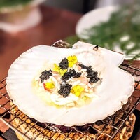 レフェルヴェソンス - 