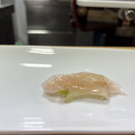 ペレグリーノ - 