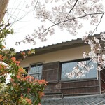 Hyakuraku sou - 桜