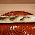 馬車道 大かわ - 氷魚と稚鮎