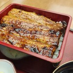 Unagi Nakajima - 