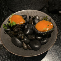 VELROSIER - 