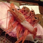 シクラメンテ - 2013.01 ﾃﾞｨﾅｰ　今回の食材♪