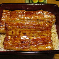 明神下 神田川 本店 - 「鰻重」（5,500円）
