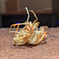 天ぷらあら木 - 