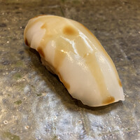 鮨 一條 - 