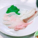 ゆたか食堂 - 長崎のテングダイと青森のスルメいか