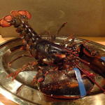 オレンジ - (๑･`◡´･๑)✧海老反りをしてくれた、元気なエビさんを頂ました！感動！活オマールエビのロースト1尾：2480円