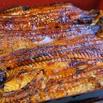 川京 - うなぎ♪接写