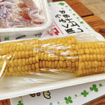 東京ドイツ村 バーベキューガーデン - 