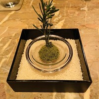 タパス モラキュラーバー - 