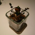 フロリレージュ - キャビアが乗ったクレープ