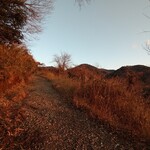 さかなどころ ともさき - 