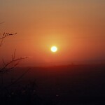 さかなどころ ともさき - 