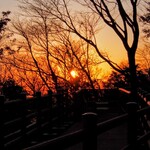 さかなどころ ともさき - 